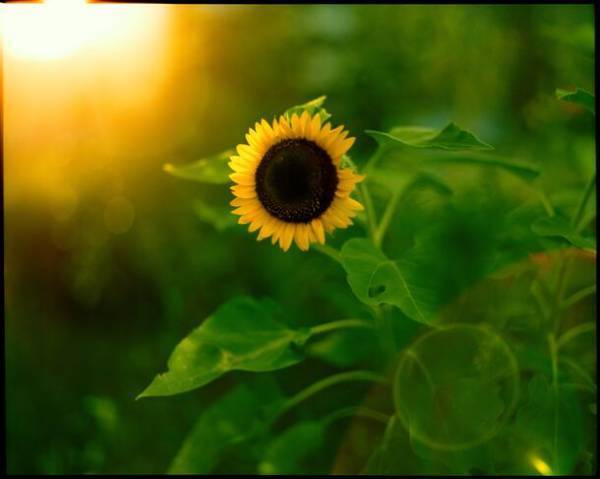 存在と向き合い、沈黙の豊穣を慈しむ『齋藤陽道 絶対』展BAG-Brillia Art Gallery-にて10月7日(土)より開催