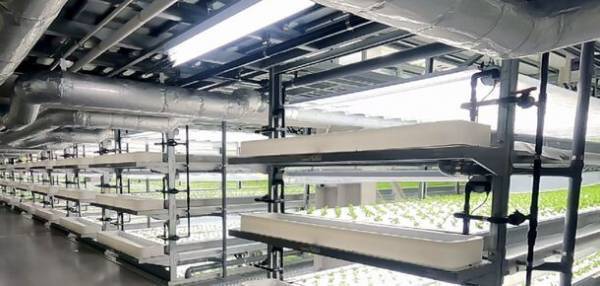 バイテックベジタブルファクトリーのフードロスへの取り組み　植物工場産野菜を道の駅で販売