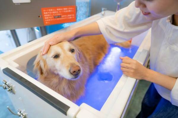 大阪市北区豊崎にドッグバスのショールーム「Fuwa wan」2023年9月25日グランドオープン！セルフドッグスパ直営店舗としても運営開始