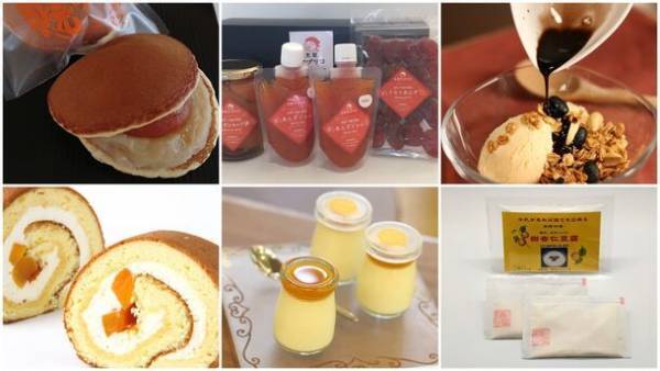 あんずづくしのイベント「第2回 あんずマルシェ」　松代城 二の丸広場にて10月8日(日)開催