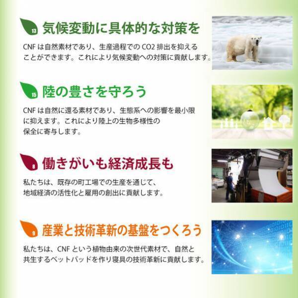 寝具業界初！自然に還る素材を使用したCNFベッドパッド　浜松で作られた日本製でへたりくくオールシーズン使用可能！