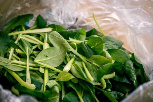 捨てられる野菜から生まれた食べられる染料「抹菜」を使用して子ども達が選ぶ『未来のひともじ』を揮毫！10月31日まで募集　～SDGs目標12「つくる責任 つかう責任」～