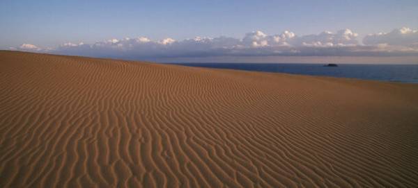 鳥取発のヘアケアブランド『sakyu』が新プロジェクトのアンバサダーオーディション二次選考を10月1日開始