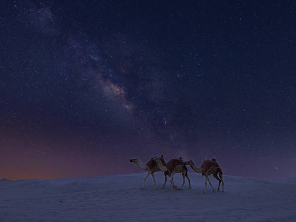 神秘的な星空とアロマの香りに包まれる新プラネタリウム作品『アラビアンナイト ヒーリング　～ 星が舞う夜 ～』森崎ウィンのナレーションが誘う夢の世界