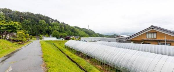 【シユ】よもぎ温活をご自宅のお風呂タイムで　自然由来指数100％(ISO16128準拠)で出来た「よもぎバスエッセンス」が誕生