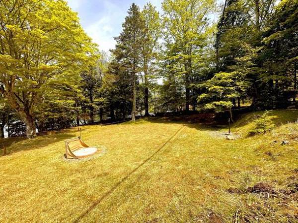 奥日光の紅葉を湖上から満喫できる「宿泊プラン」と「グランピング貸切プラン」を10月～11月の期間限定で提供開始！　『ZEN RESORT NIKKO』