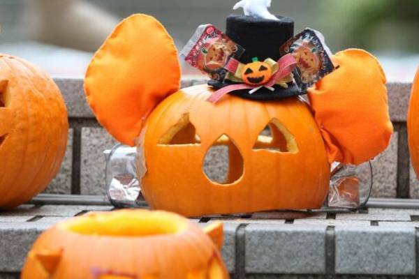 4年ぶりに歩行者天国が帰ってくる！「第28回　ユーカリフェスタ2023」開催　2023年10月28日(土)11:00～20:00