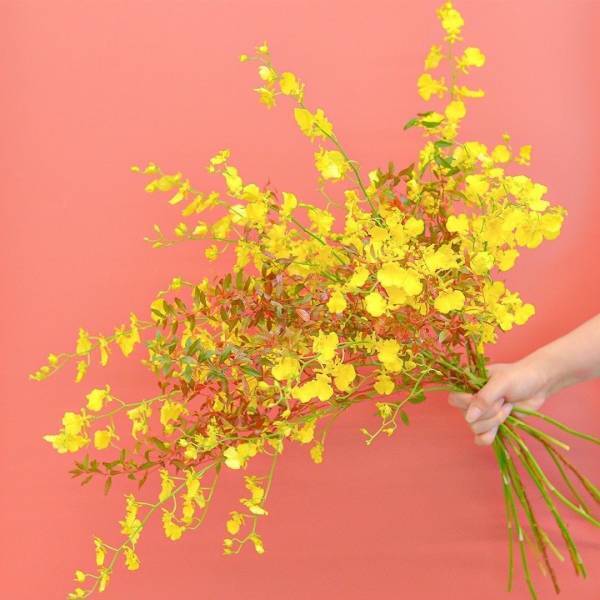 ～環境配慮型店舗～Hibiya-Kadan Style シャポー新小岩店を10月1日（日）にオープン