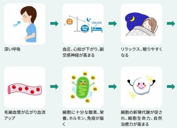 悩める不眠の主原因を発見。体圧変換で、副交感神経を刺激し、充実睡眠へ　「トラタニ好循環寝具(マットレス・枕)」を10月1日より販売