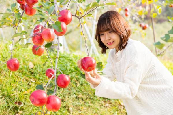 紅葉とワイン五感で楽しむ赤の小諸　長野県小諸市 小諸ワイン50周年と新酒を楽しむワインの祭典「50th Anniversary KOMORO WINE BRAND-NEW DAYS 2023秋」10月21日開催