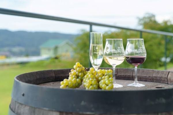 紅葉とワイン五感で楽しむ赤の小諸　長野県小諸市 小諸ワイン50周年と新酒を楽しむワインの祭典「50th Anniversary KOMORO WINE BRAND-NEW DAYS 2023秋」10月21日開催