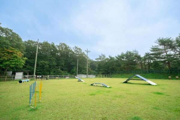 日本初！？【わんこと一緒に】露天風呂＋バレルサウナ付き客室　2023年、ニューオープン！