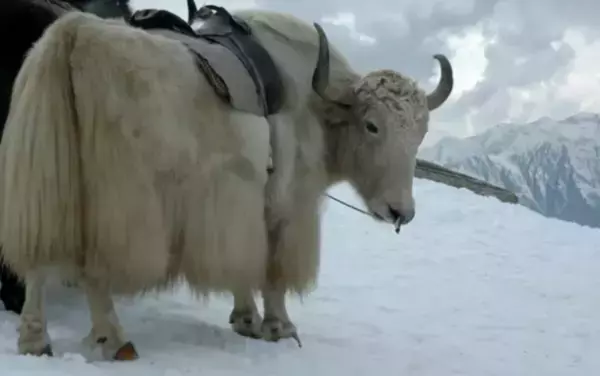 冬のアウトドアで活躍！電源不要で車中泊を寒さから守る「魔法瓶ブランケットLUGH」第4弾がMakuakeにて先行販売開始