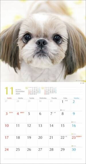 2024年版　鼻ペチャ犬カレンダー　新発売！10月初旬より、全国の書店・ネットショップで販売開始