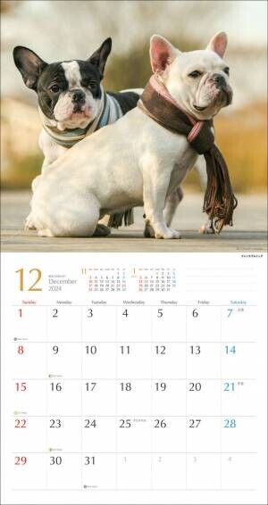 2024年版　鼻ペチャ犬カレンダー　新発売！10月初旬より、全国の書店・ネットショップで販売開始