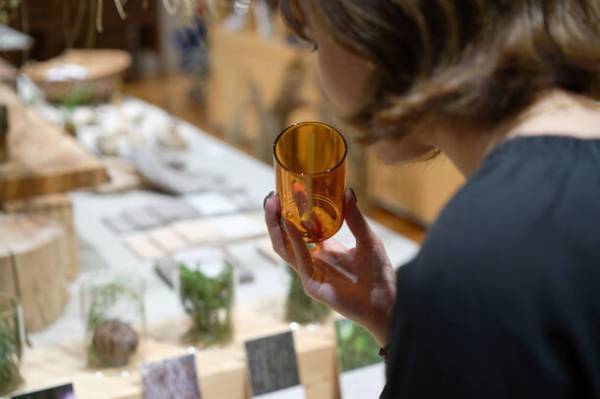 八ヶ岳の麓に生育する樹木から作る『白樺のお茶』『樹木の精油』　発売に伴い10月29日まで東京・青山にて期間限定POP UPを開催