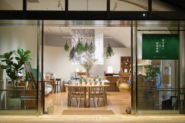 八ヶ岳の麓に生育する樹木から作る『白樺のお茶』『樹木の精油』　発売に伴い10月29日まで東京・青山にて期間限定POP UPを開催