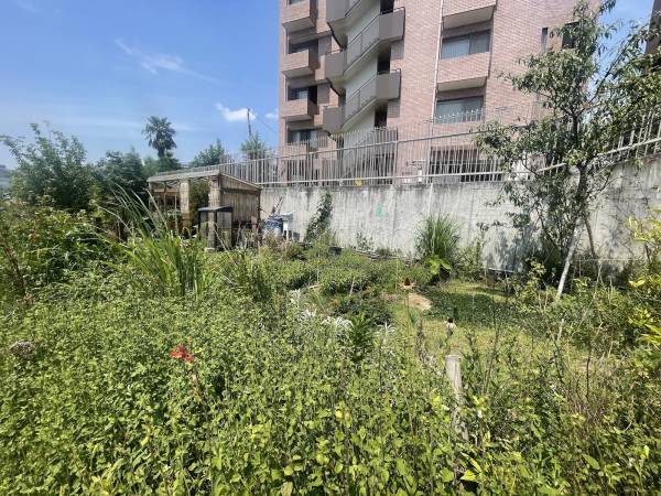 ～第39回都市公園等コンクール～「長井海の手公園（ソレイユの丘）」が『都市公園制度制定150周年記念部門』で国土交通大臣賞を受賞。同じく、ランドフローラが手掛ける緑地広場「シモキタのはら広場」が『設計部門』で会長賞を受賞。