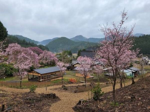 京都洛北『花宝苑』にて11月11日(土)に、日本最大級「寺マルシェ・鯖寿司大博覧会」開催！