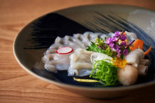 若狭の冬の味覚「若狭ふぐ」のシーズン到来　「若狭ふぐ福々キャンペーン」2024年3月31日(日)まで実施