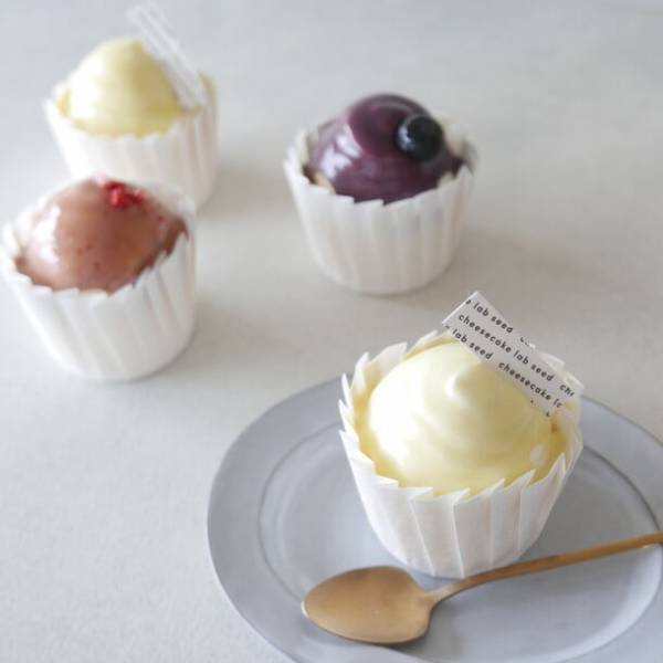 南大阪のエシカルチーズケーキ専門店 CHEESECAKE LAB seedが「はしっこチーズケーキ」で食品ロス削減　10/12(木)より店舗・ECショップで訳あり商品割引販売を実施