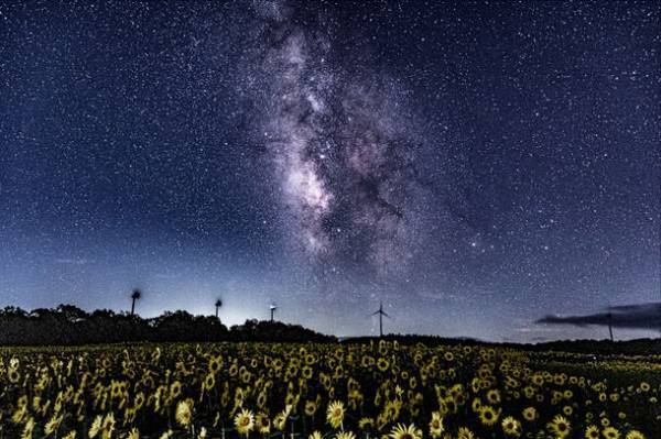 第70回「交通総合文化展2023」10月20日から開催　写真・俳句の公募優秀作品や、著名芸術家の作品などを展示
