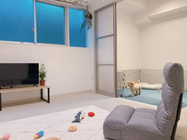 日本初！おひとりさま専門、完全個室の犬ふれあいカフェ　『ワンコと1人暮らし』が大阪本町エリアにオープン