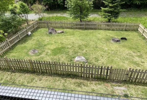 潰れそうな動物保護団体を助けたい。グリーンコーヒーの売上を寄付。首都圏からの移住者が組み、北杜市内のマルシェに出店(10月29日)