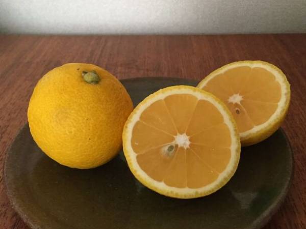 秩父鉄道が山崎製パンとコラボ！ランチパック「秩父産黄金かぼすのゼリー」　11月1日(水)より販売開始