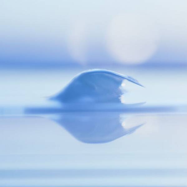 クリエイティブラボ Out of Blue が世界最大の米国電気電子学会IEEE主催「IEEE VIS Arts Program 2023」にてアート作品を発表