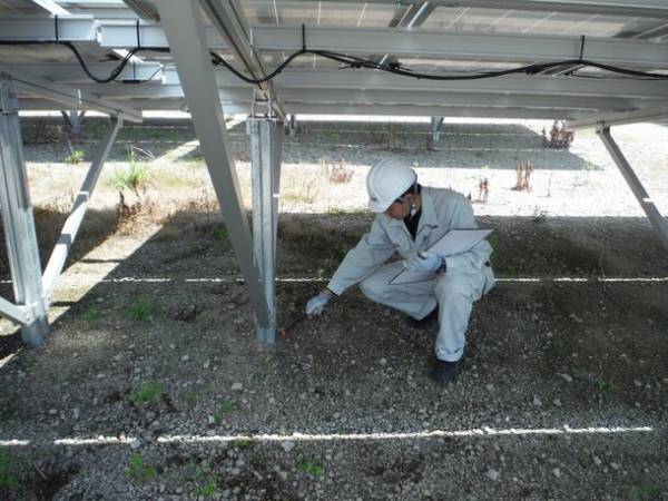 太陽光発電所のセカンダリービジネスに関する問い合わせが2倍　FITから11年、発電所のリパワリングや評価制度への関心高まる