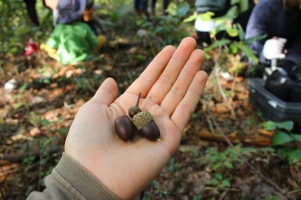 飛騨高山の木工房　オークヴィレッジ　東京・青山で創立50周年記念トークイベントを11月に開催