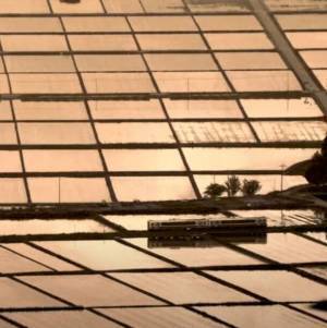 福島・奥会津の郷土写真家「星 賢孝」を追ったドキュメンタリー映画『霧幻鉄道』の上映会を2023年11月4日(土)に開催