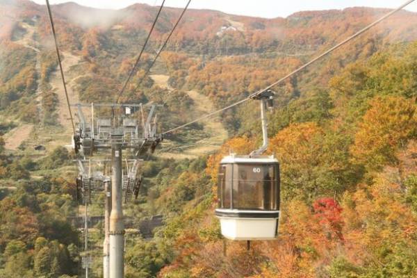 新潟・妙高市で、地元産の野菜直売や紅葉を満喫できるアクティビティを楽しめるイベントがロッテアライリゾートで10月28日開催