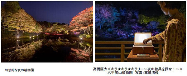 六甲高山植物園 一足早く「紅葉」が見頃！夜間イベント「ひかりの森～夜の芸術散歩～」も開催中