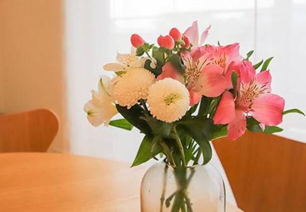 【10月発送サービス開始！】日本一の花の産地からお届けするサービス『田原の花の定期便』～そのまま飾るだけで季節を楽しめるタハナ～