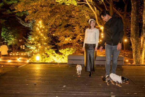 新スポット！ワンコと紅葉！那須最大級！？【ドッグパーク フォレストヒルズ那須】のご案内＜利用料が無料になる会員特典の提供開始！！＞