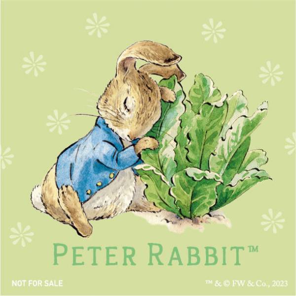 「ピーターラビット(TM)×東京メトロスタンプラリー～Friend to Nature～」を11月1日(水)より開催！