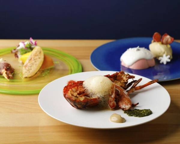 地上約30mの空中庭園に広がる11万球のイルミネーション「大名古屋クリスマスイルミネーション」を11月8日より開催