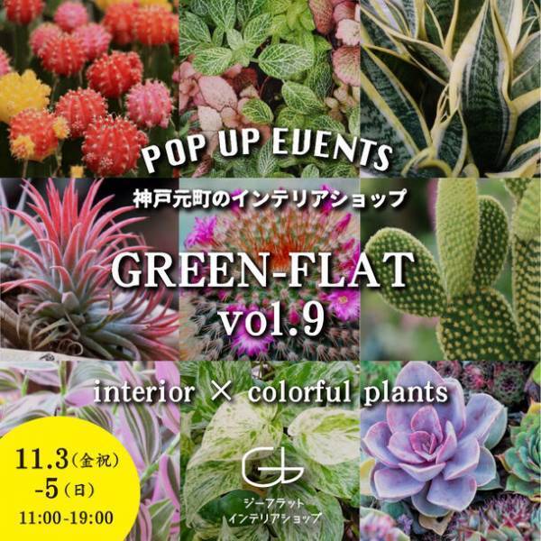 観葉植物が大集合！！「GREEN-FLAT vol.9～interior×colorful plants」が11月3日～11月5日に直営インテリアショップにて開催！