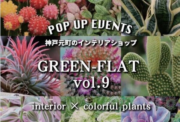 観葉植物が大集合！！「GREEN-FLAT vol.9～interior×colorful plants」が11月3日～11月5日に直営インテリアショップにて開催！
