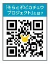 感動体験盛りだくさん 遊覧飛行 日帰り旅12月9日(土) 神戸空港発「ピカチュウジェット富士山遊覧チャーター」を実施します