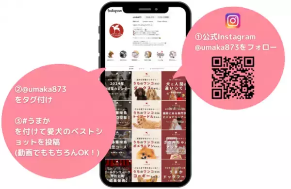 “博多華味鳥水たきセット”など豪華賞品をゲットしよう！「うまか犬フォトコンテスト」を11月1日からInstagramで開催！