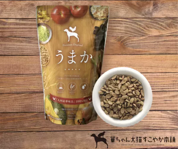 “博多華味鳥水たきセット”など豪華賞品をゲットしよう！「うまか犬フォトコンテスト」を11月1日からInstagramで開催！