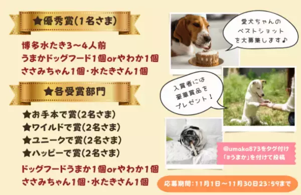 “博多華味鳥水たきセット”など豪華賞品をゲットしよう！「うまか犬フォトコンテスト」を11月1日からInstagramで開催！