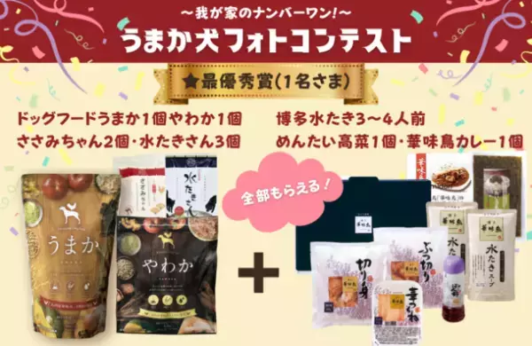 “博多華味鳥水たきセット”など豪華賞品をゲットしよう！「うまか犬フォトコンテスト」を11月1日からInstagramで開催！