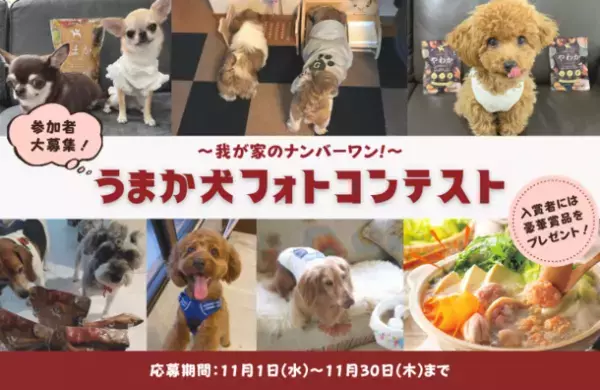“博多華味鳥水たきセット”など豪華賞品をゲットしよう！「うまか犬フォトコンテスト」を11月1日からInstagramで開催！
