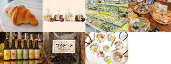 プロスポーツチームとの交流やダンスステージ、フードが楽しめる「MS OPEN CAMPUS」を11月19日、千葉県柏市にて開催！