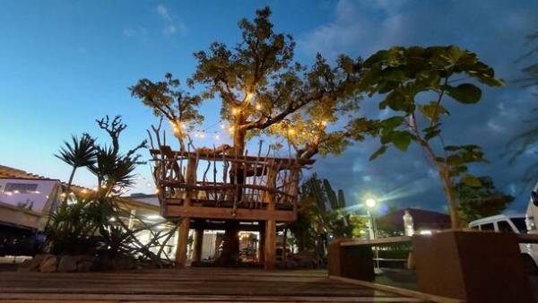 現役プロサッカー選手の“静岡への想い”を形にした伐採木を活用したツリーハウス兼ゲスト交流カフェプロジェクト！11月30日までCAMPFIREにて宿泊施設設立・運営資金の募集