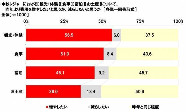 ホンダアクセス調べ　愛犬とのドライブが似合うと思う芸能人　男性芸能人1位「木村拓哉さん」 2位「坂上忍さん」、女性芸能人1位「森泉さん」 2位「広瀬すずさん」